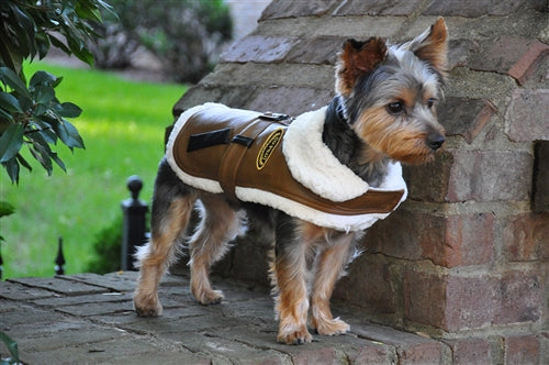 Brown and Black Trim Vintage Bomber Coat & Leash