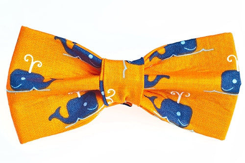 A Whale's Tail Bow Tie