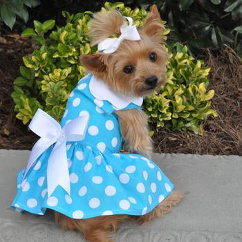 Polka Dot Dress