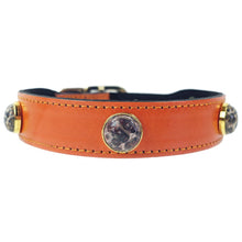 Au Naturale Matching Leather Collar and Leash Set