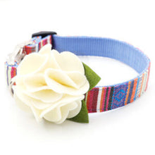 Dog Collar Flower - Hydrangea